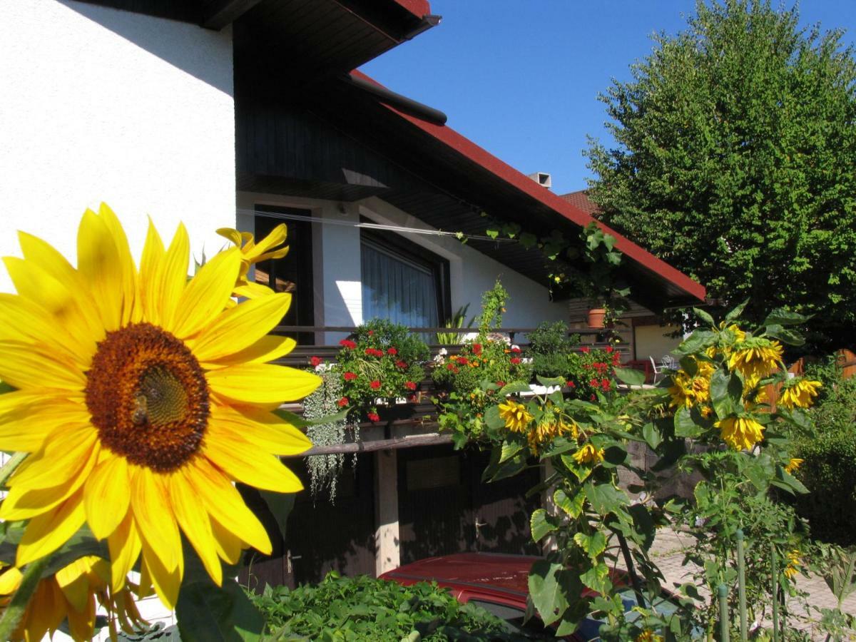 Apartment Mala Bled Exterior photo